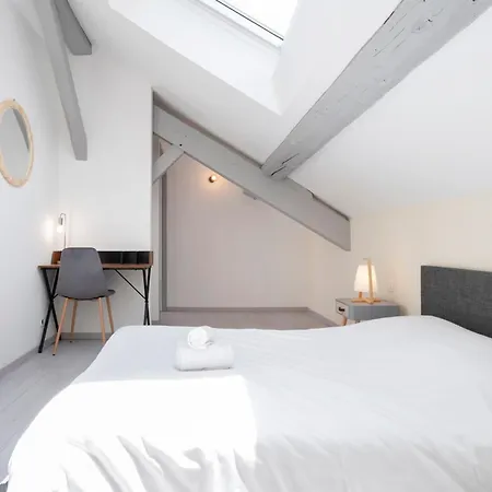 Le Havre Nanceien Apartment Nancy