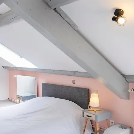 Le Havre Nanceien Apartment Nancy