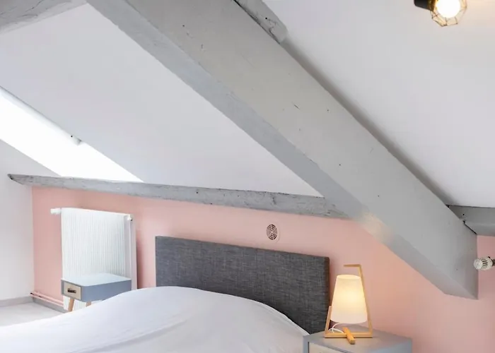 Le Havre Nanceien Apartmán Nancy